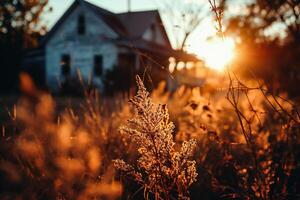ai généré magnifique le coucher du soleil sur le champ avec herbe et vieux maison dans le Contexte photo