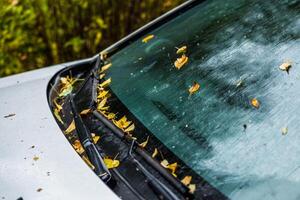 voiture blanche à l'automne jour de pluie avec des feuilles de bouleau orange - mise au point sélective gagner flou gros plan photo