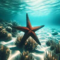 ai généré étoile de mer. Marin vie. la vie sous-marin. photo