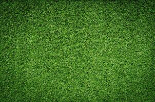 texture de l'herbe verte photo