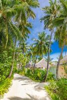 plage recours villas, jungle sentier tranquille tropical île, paradis côte, noix de coco paume des arbres et ensoleillé ciel plus de le sable vagues. incroyable vacances paysage Contexte. magnifique vacances plage photo