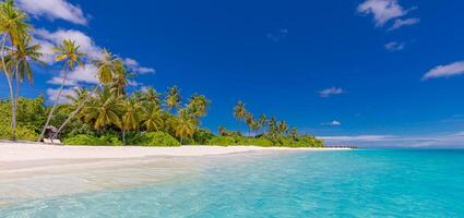 populaire tropical destination scène. exotique plage paume des arbres blanc le sable et calme paysage marin. incroyable Voyage paysage, meilleur paradis île vacances. parfait coloré se détendre Contexte. ensoleillé été ciel photo