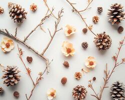 ai généré pin cônes, fleurs et branches sur une blanc Contexte. plat poser, Haut vue photo