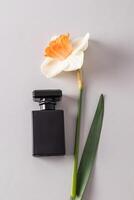 noir mat bouteille avec cosmétique produit, parfum ou vaporisateur pour Hommes sur lumière verticale Contexte avec narcisse fleur. Vide mise en page, emballage. photo