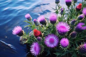 ai généré fleurs sur l'eau photo