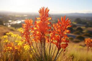 ai généré Extérieur fleurs avec texte espace photo