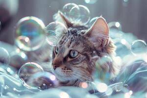 ai généré chat entouré par savon bulles. chaton en jouant avec savon bulles. génératif ai photo
