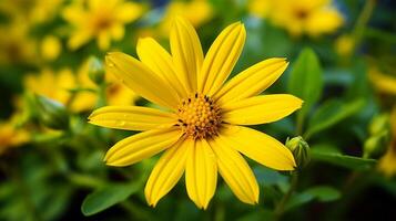 ai généré vibrant Jaune fleurs sauvages dans proche en haut entouré par vert photo