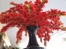 photo de une rouge plante dans une noir vase. parfait pour les magazines, journaux et tabloïds