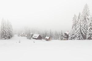 brumeux Matin dans une neigeux paysage dans visalaje, beskyde montagnes dans le est partie de le tchèque république. blanc Fée conte dans hiver mois photo