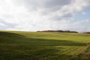 cette est une magnifique image de une champ cette semble à étendue pour toujours. le roulant collines de le luxuriant vert herbe semble à lueur avec le nuageux ciel au-dessus de. tomber feuillage pouvez être vu dans le distance. photo