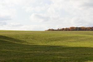 cette est une magnifique image de une champ cette semble à étendue pour toujours. le roulant collines de le luxuriant vert herbe semble à lueur avec le nuageux ciel au-dessus de. tomber feuillage pouvez être vu dans le distance. photo