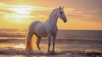 ai généré magnifique cheval permanent par le mer à le coucher du soleil photo