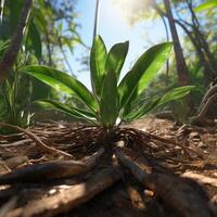 ai généré une tropical plante dans le jungle. plante flore photo