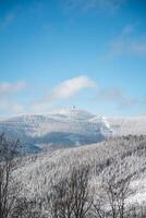 hiver paysage avec Soleil des rayons reflétant de le étincelant neige. lever du soleil dans une neigeux région sauvage et des bois. beskyde montagnes, tchèque république photo