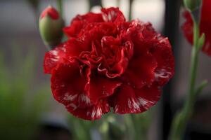 ai généré œillet - dianthus caryophylle - fleur à l'origine de le méditerranéen Région - connu pour leur ébouriffé pétales et sucré fragrance. une symbole de l'amour et fascination photo