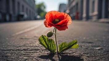 ai généré magnifique solitaire fleur grandit de asphalte photo