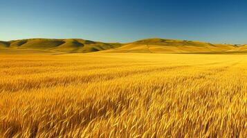 ai généré serein image capture vaste, ouvert champ couvert avec d'or blé. le terrain est roulant avec subtil collines à le paysage. ai généré photo