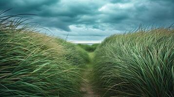 ai généré étroit sentier Coupe par grand herbe. le herbe sur Soit côté de le chemin sont dense et apparaître à être balancement, donnant dynamique ressentir à le scène. ai généré photo