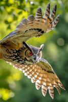 ai généré hibou dans vol. le chouettes ailes sont pleinement étendu, mettant en valeur détaillé plume motifs ai généré photo