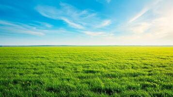 ai généré image de vaste, luxuriant vert champ en dessous de brillant, clair ciel. le herbe est vibrant et bien allumé par le lumière du soleil. dans le Contexte avec minimal des nuages et aéré atmosphère ai généré photo