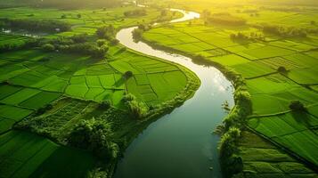 ai généré luxuriant vert paysage intersecté par calme rivière, le Soleil moulage longue ombres. le rivière devrait méandre par le paysage, reflétant le ciel et alentours verdure ai généré photo