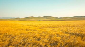 ai généré serein image capture vaste, ouvert champ couvert avec d'or blé. le terrain est roulant avec subtil collines à le paysage. ai généré photo