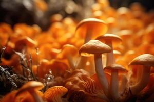 ai généré fermer de Safran Lait casquette champignon dans la nature. photo