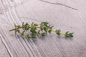 arôme assaisonnement thym tige avec feuilles photo