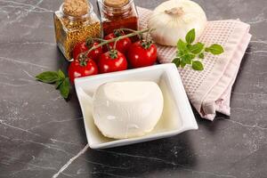 italien fromage mozzarella buffle Balle photo