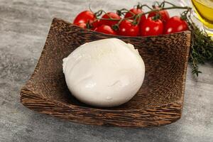 rond mozzarella Jeune fromage Balle photo