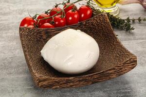 rond mozzarella Jeune fromage Balle photo