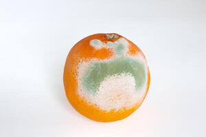 moisi Orange fruit isolé sur blanc Contexte. moisissure couvert aliments. photo