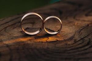 deux mariage engagement anneaux sur une en bois base pour une or bague de une aimant mariage couple.concept de l'amour. photo