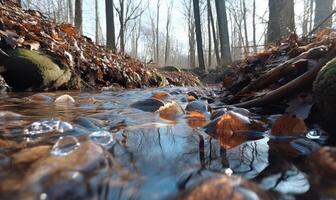 ai généré déchue feuilles dans le la glace sur le rivière dans le hiver forêt photo