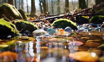 ai généré congelé l'eau dans le forêt avec la glace cubes et cailloux. de bonne heure printemps paysage photo