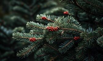 ai généré pin arbre branche avec rouge cônes, fermer. photo