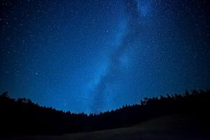 ai généré bleu foncé nuit ciel avec beaucoup étoiles au dessus champ de des arbres. voie Lactée cosmos photo