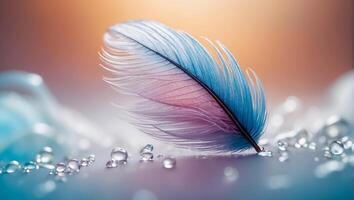 magnifique plume, laissez tomber de eau, Couleur Contexte photo