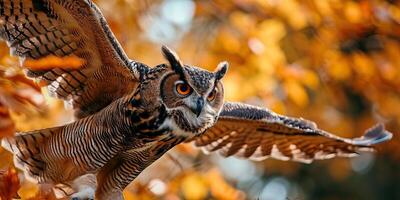 ai généré une majestueux hibou dans vol contre une toile de fond de l'automne feuilles photo