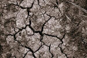 le terre est sec et fissuré de sécheresse, le été saison. photo