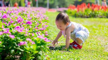 de bébé premier jardin aventure au milieu de rose bougainvillier. curieuse bambin atteint en dehors à toucher le Terre, expérience le textures et couleurs de une vibrant fleur jardin. asiatique enfant vieilli 1 année vieux. photo