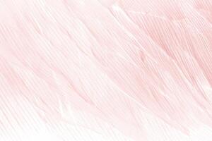magnifique ligne doux rose plume modèle texture Contexte photo