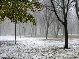 brouillard dans une ville parc. triste l'automne paysage. brouillard veux dire une changement dans temps. photo