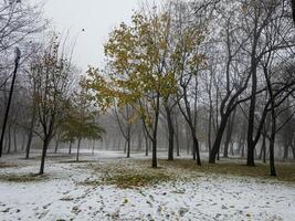 brouillard dans une ville parc. triste l'automne paysage. brouillard veux dire une changement dans temps. photo