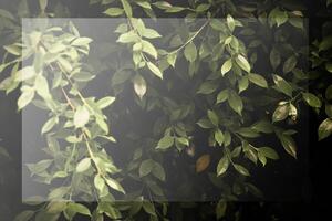 foncé vert feuille toile de fond, foncé Ton, petit feuilles, tropical feuilles, foncé vert feuille fond d'écran, feuille Contexte avec blanc photo Cadre.