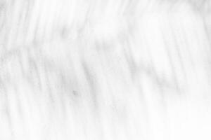 abstrait paume feuilles ombre sur blanc grunge béton mur texture Contexte. photo