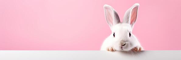 ai généré mignonne blanc lapin sur une rose Contexte. endroit pour texte. photo