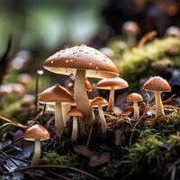 ai généré magnifique groupe de champignons. fermer de champignons dans une forêt photo