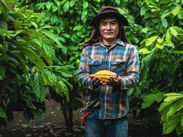 agriculture Jaune mûr cacao dosettes dans le mains de une garçon agriculteur, récolté dans une cacao plantation photo